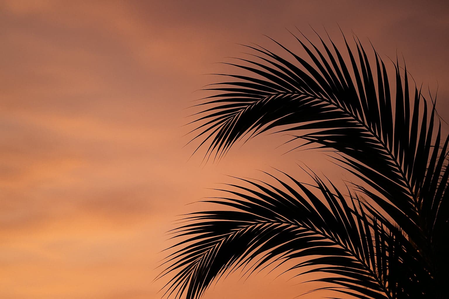 South Florida market pulse — week of August 28
