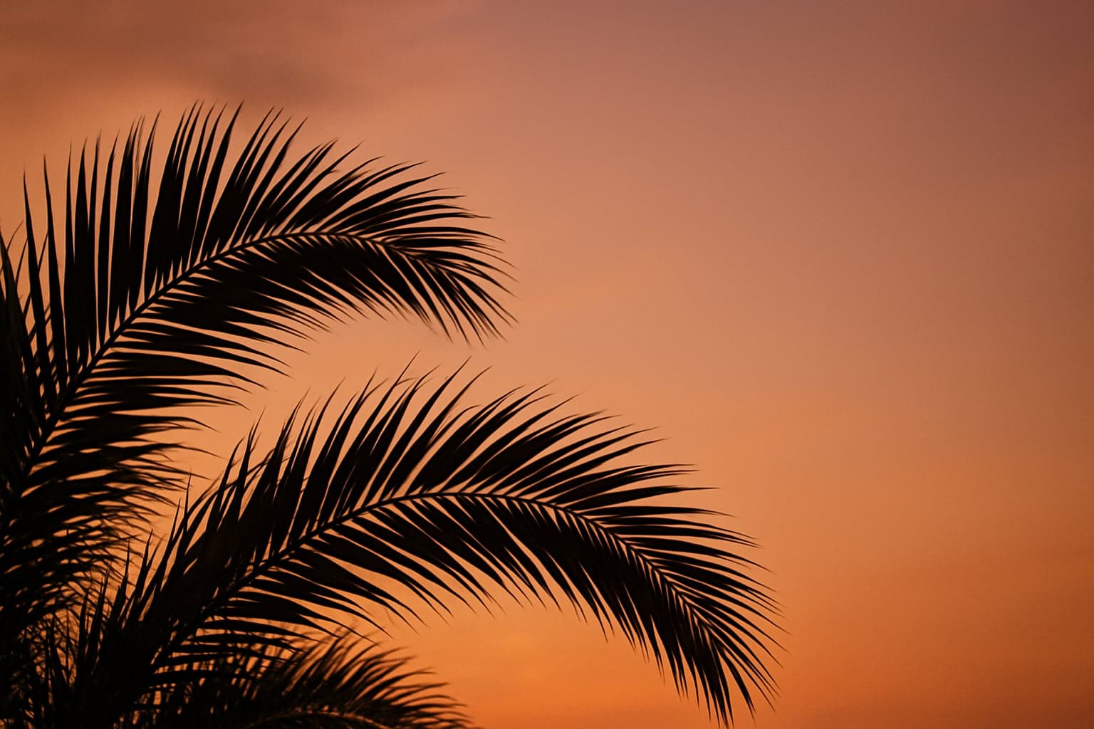Living in Weston: Tips for Newcomers from Latin America